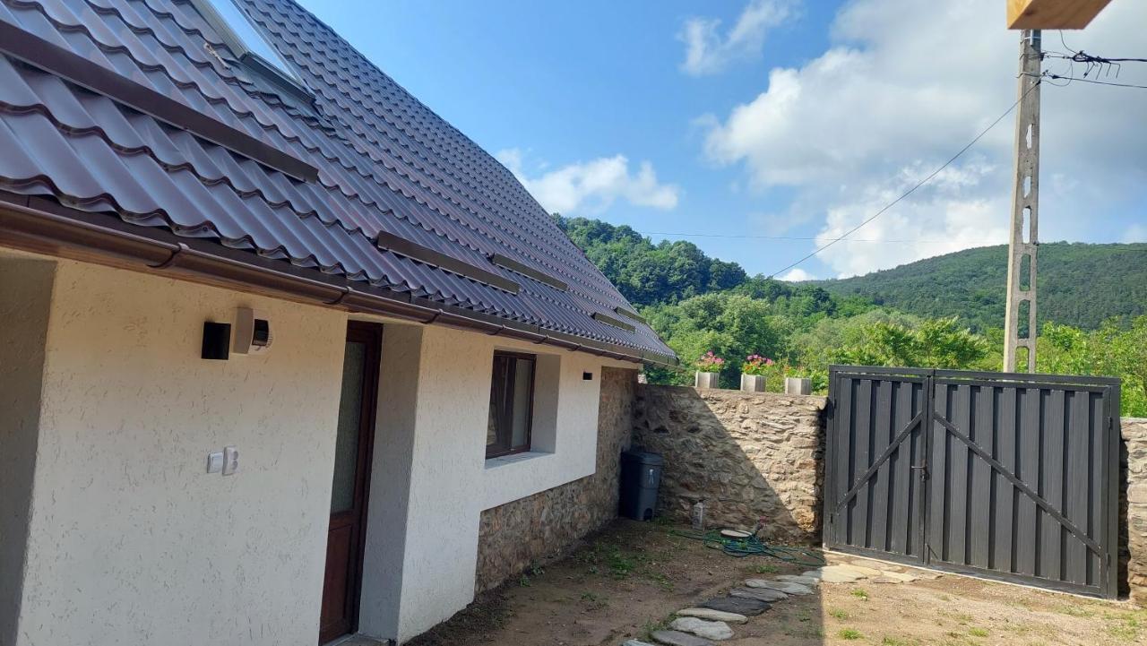 Villa Casa Noua Sasca Montană Esterno foto