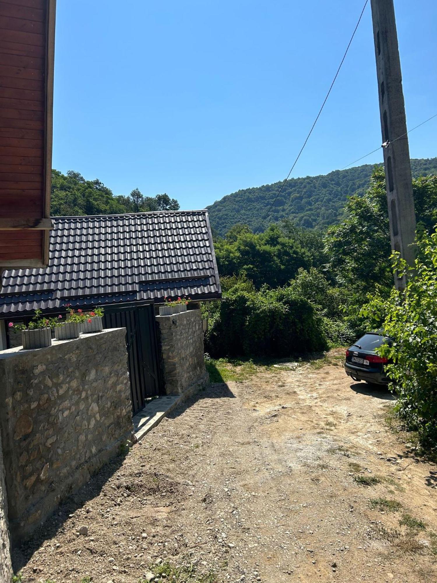 Villa Casa Noua Sasca Montană Esterno foto